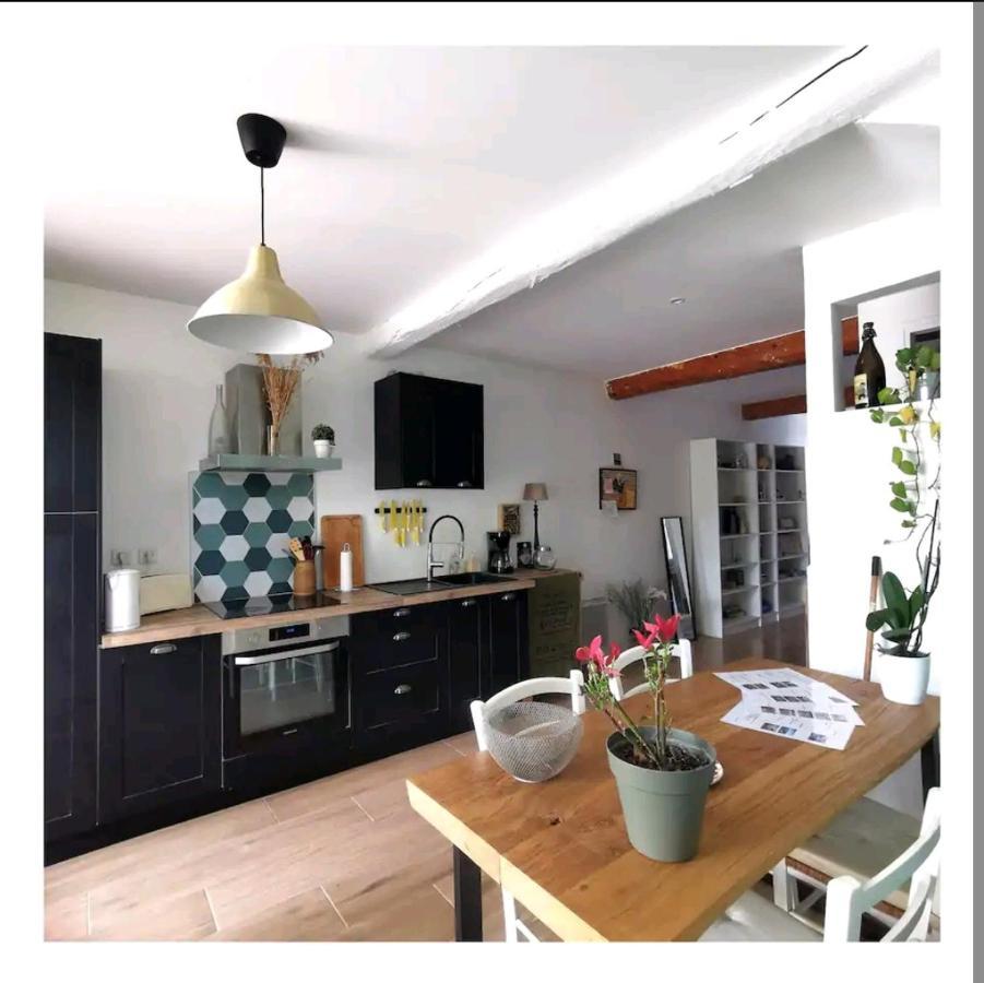 La Maison De Marie - Jardin Arbore - Garage Privatif - Netflix Carcassonne Exteriör bild